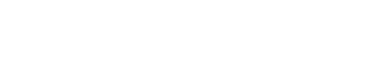 Punt logo